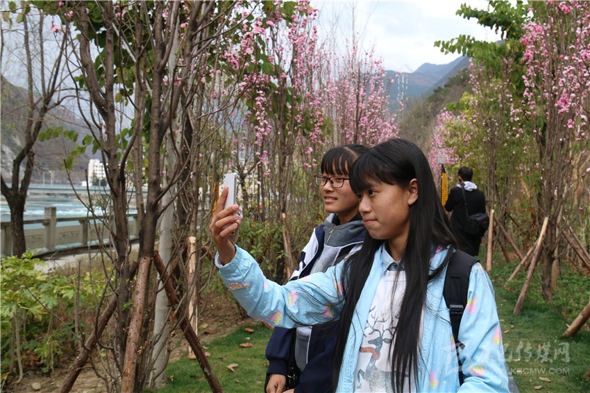 春光俏！“醉”是瀘定春三月，踏青賞花正當(dāng)時(shí)