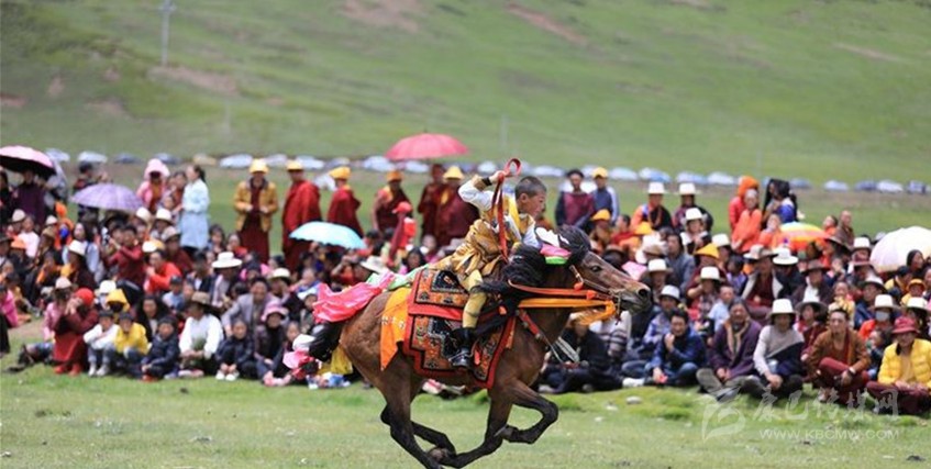 格?；ㄊ㈤_(kāi) 牧民馬背上一顯身手