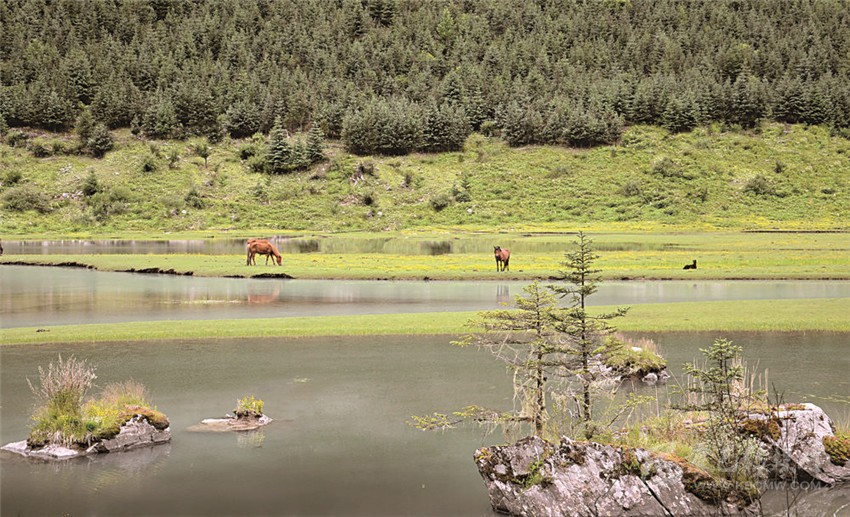 去甘孜 邂逅絕美湖泊海子！