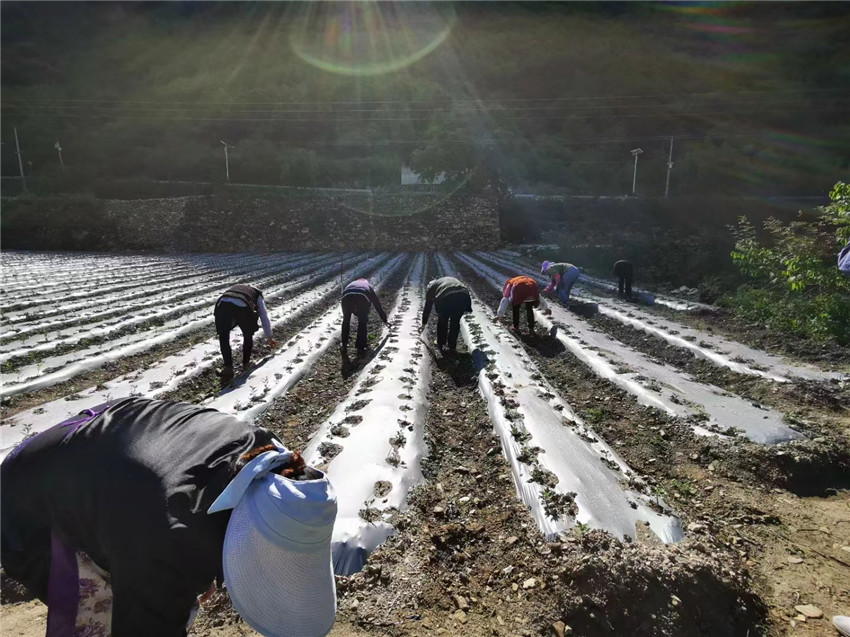 村民在曾經.jpg 村民在曾經.jpg