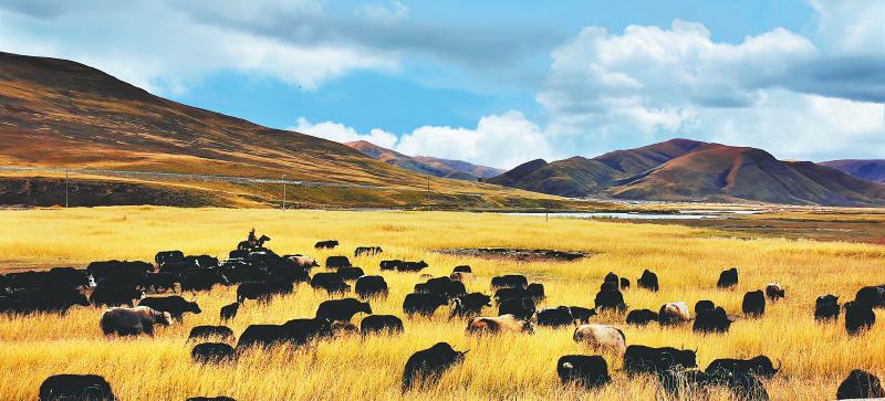 石渠縣.jpg 石渠縣.jpg