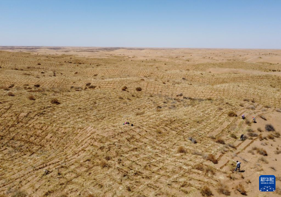 2024年4月10日，群眾在古浪縣八步沙林場麻黃塘沙區(qū)用草方格壓沙。新華社發(fā)（無人機(jī)照片）